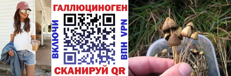Псилоцибиновые грибы мухоморы Мелеуз